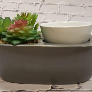 Succulent Wax Warmer